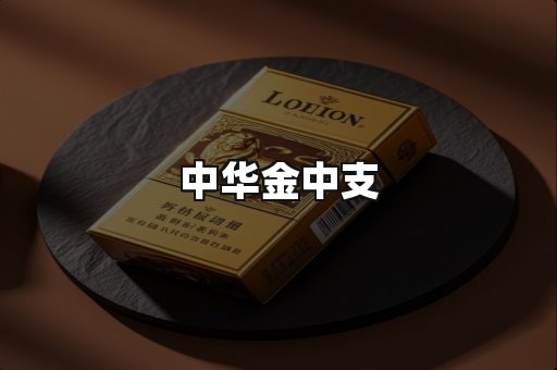 中华金中支
